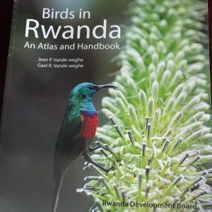 Birds in Rwanda: An Atlas and Handbook (2011)