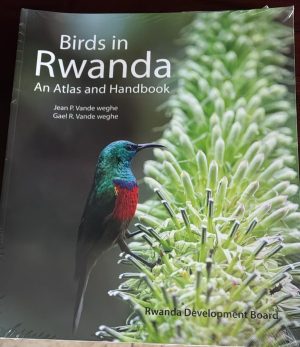 Birds in Rwanda: An Atlas and Handbook (2011)