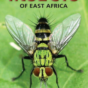 Pocket Guide to Insects of East Africa