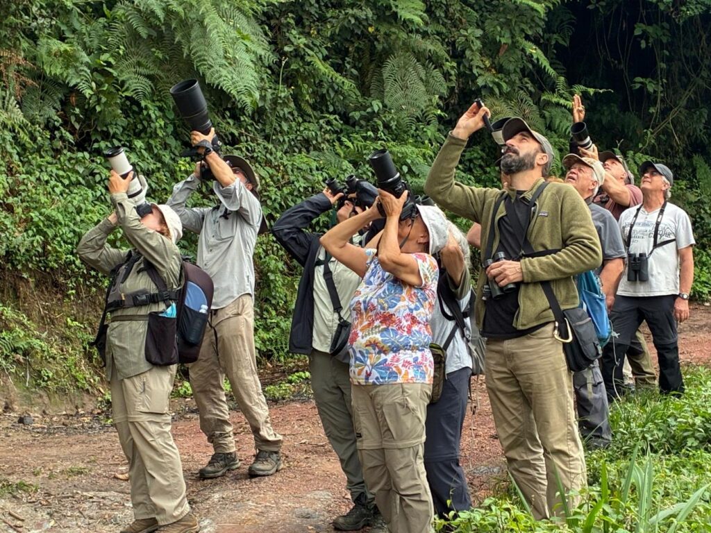 Best time to visit Rwanda for birding tour