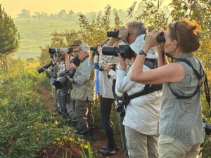 10 Days Wildlife and Birding Tour in Rwanda