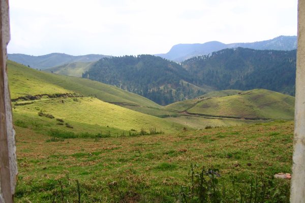 Gishwati-Mukura-National-Park