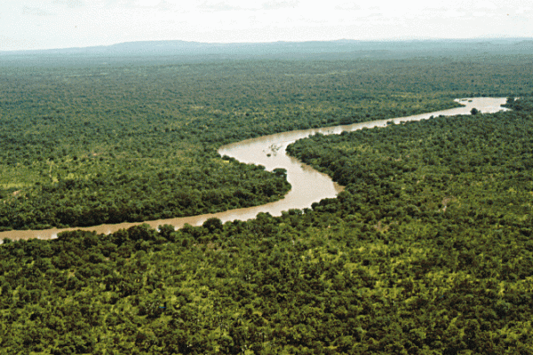River-Gambia-Niokolokoba-National-Park