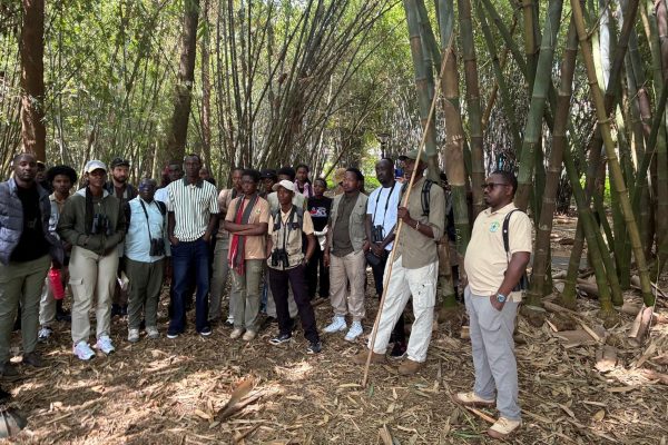 afar-danakil-rwanda-birding-tours-34