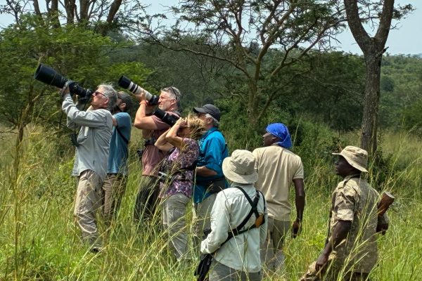 afar-danakil-rwanda-birding-tours-40
