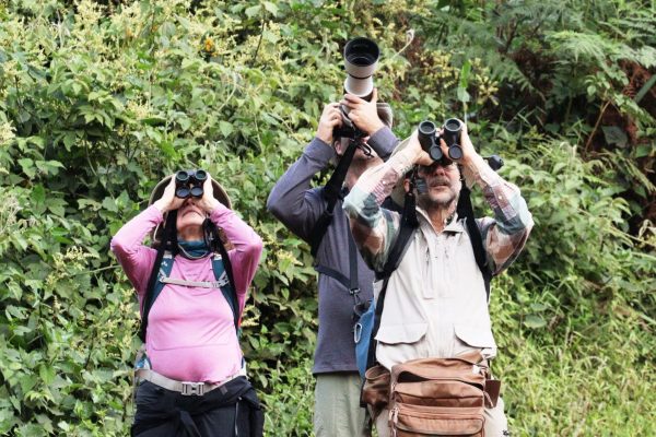 afar-danakil-rwanda-birding-tours-8