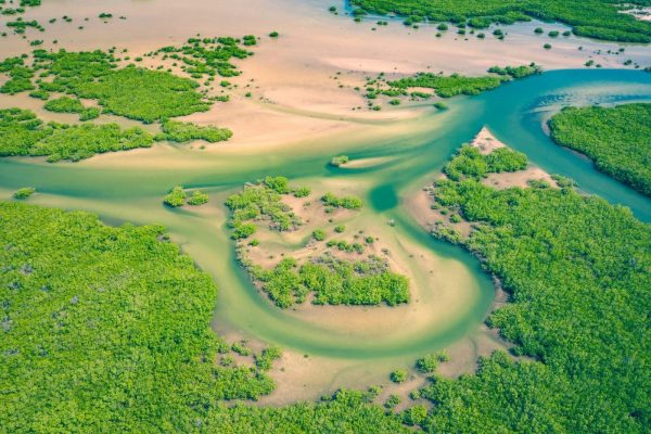 green-wetlands-Saloum-Delta