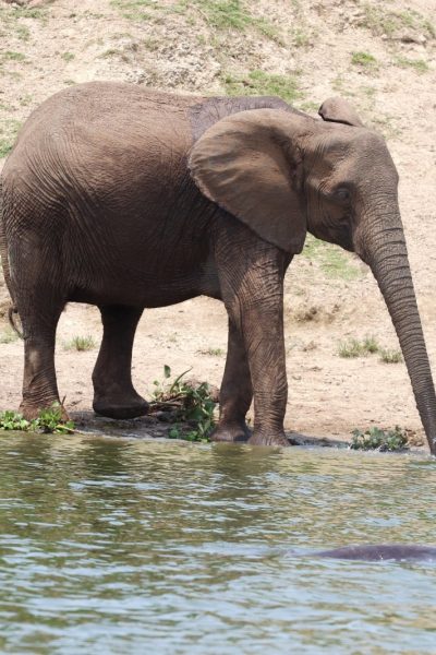 kenya2