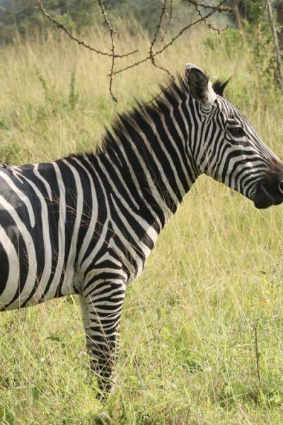 kenya3