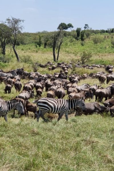 kenya4