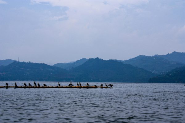 lake-kivu-rwandamichael-muli-0d8KvgODpgQ-unsplash