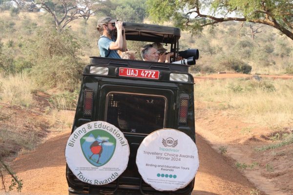 rwanda-birding-tours-18