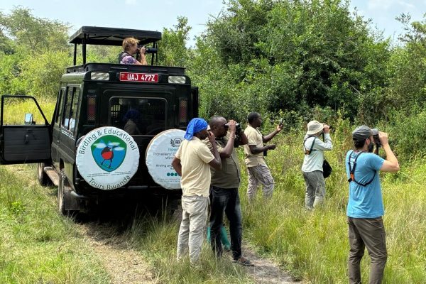 Birding and educational tours Rwanda