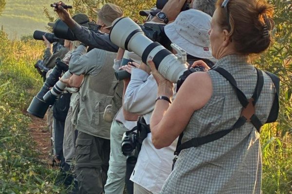 rwanda-birding-tours-37