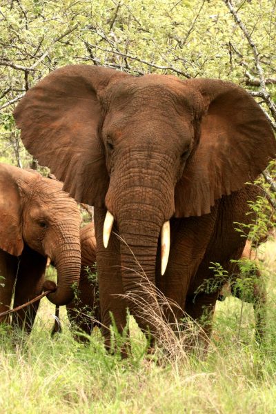 rwanda3