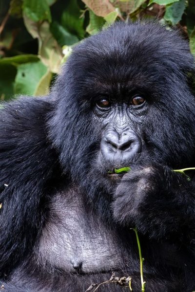 rwanda4