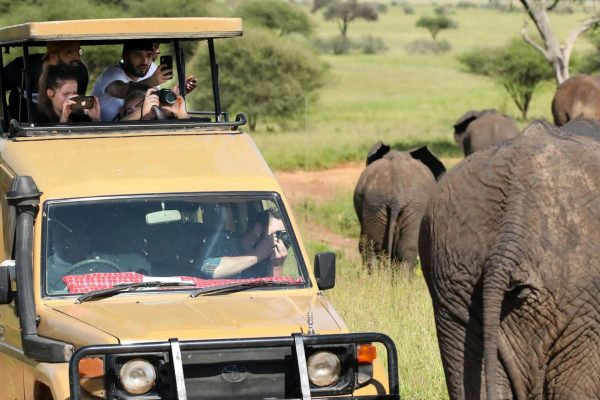 wildlife-viewing-drives-tanzania-serengeti